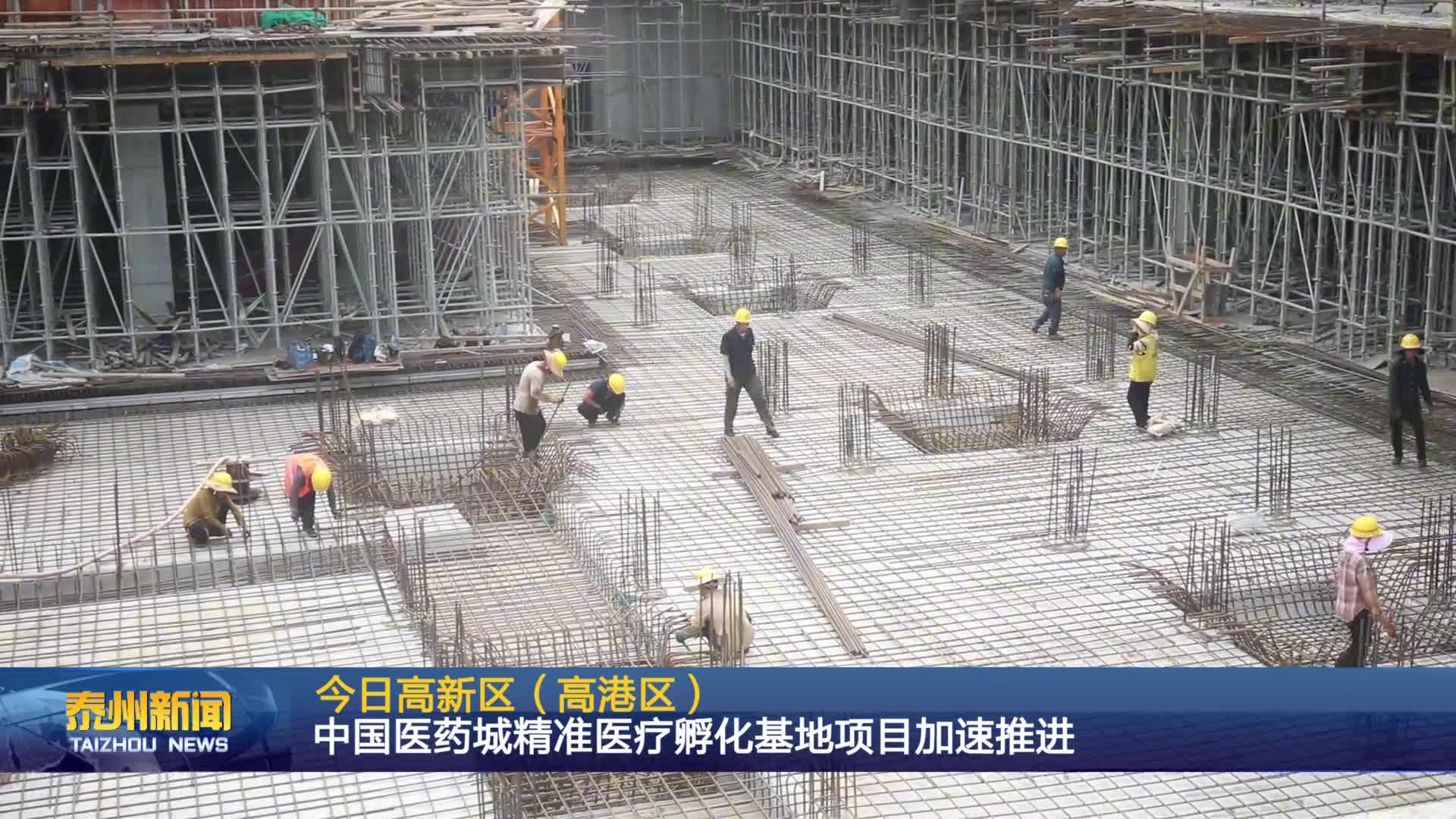 今日高新区（高港区）  中国医药城精准医疗孵化基地项目加速推进